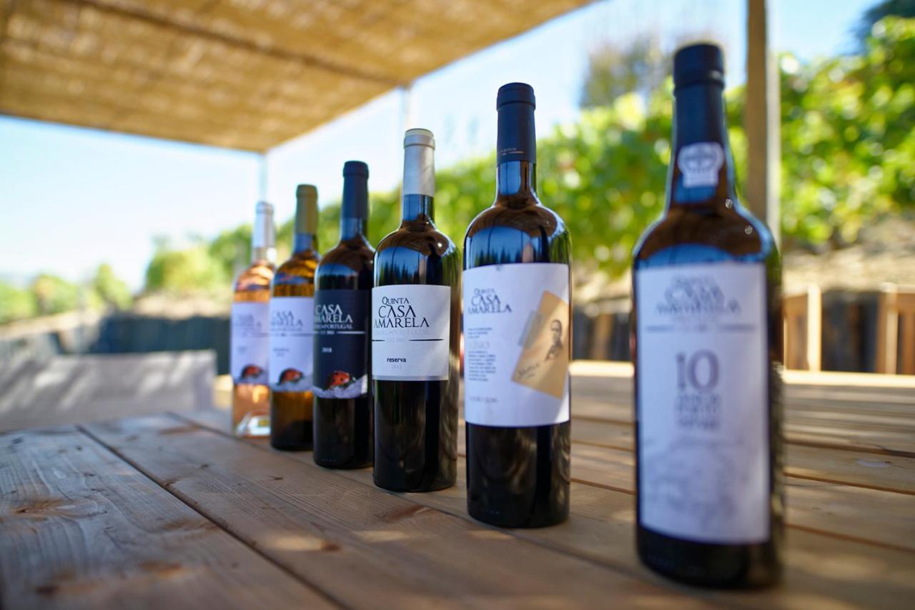 Quinta Da Casa Amarela- Casas Da Quinta - Turismo Em Espaco Rural 라메구 외부 사진